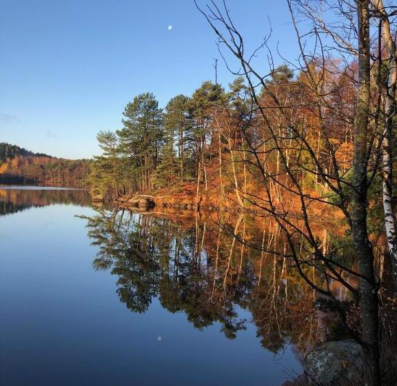 ホテル 5:ans Bed & Breakfast