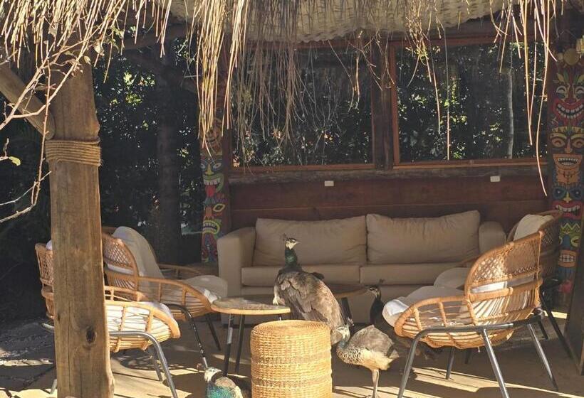 Отель Apartamentos Premium Con Yacuzzi Dunas Del Este