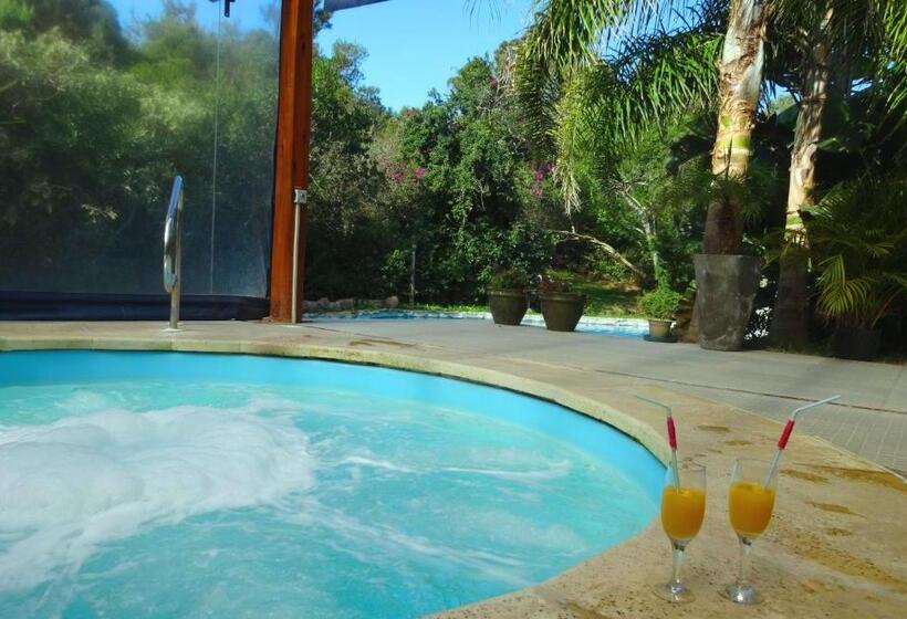 هتل Apartamentos Premium Con Yacuzzi Dunas Del Este