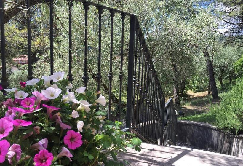 Отель B&b Sogno Verde