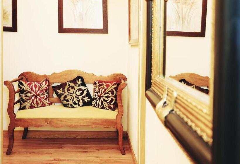 هتل Dc Mesones 21