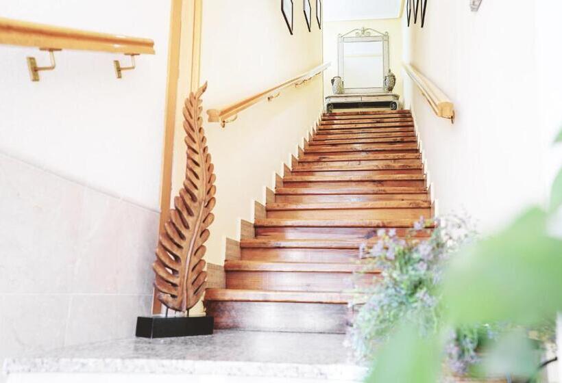 هتل Dc Mesones 21