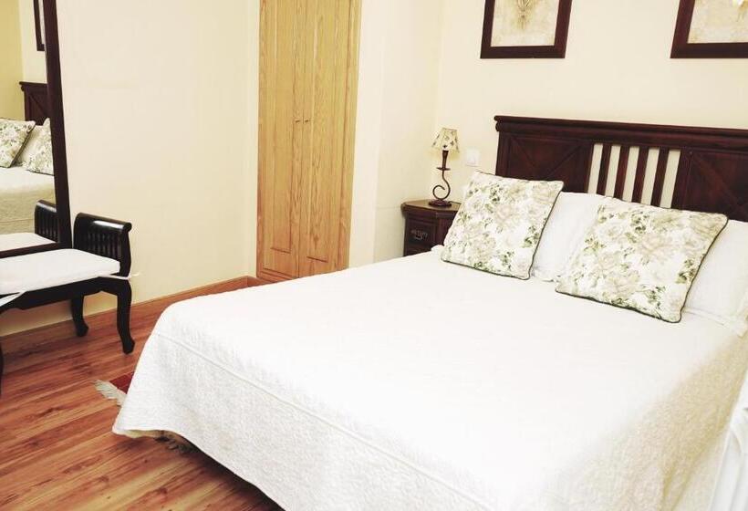 هتل Dc Mesones 21