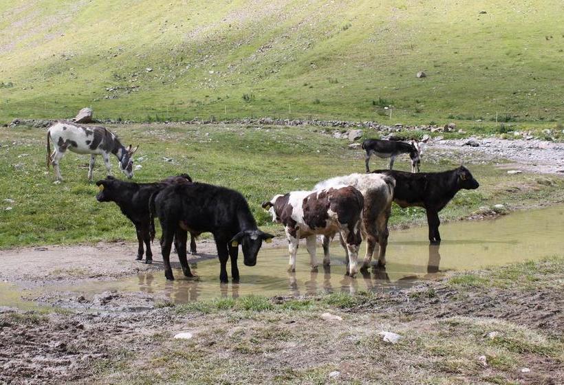 酒店 Dependance Sporting