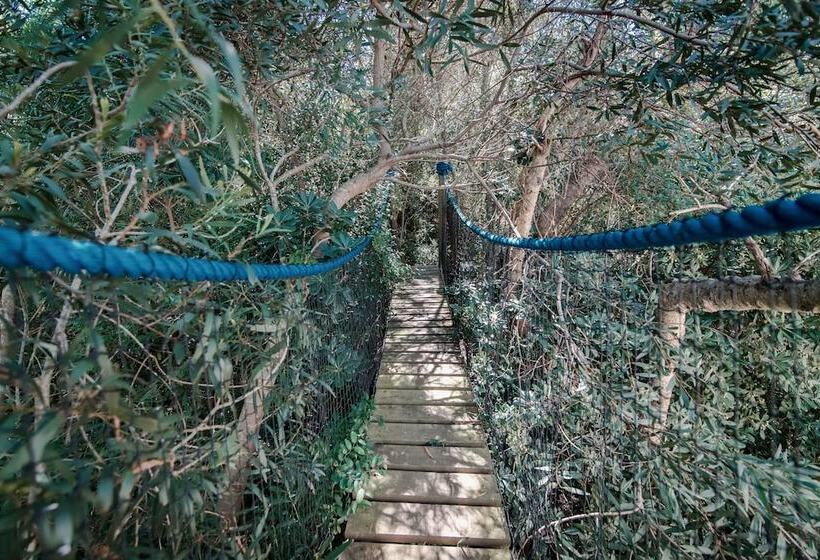 Отель Apartamentos Premium Con Yacuzzi Dunas Del Este