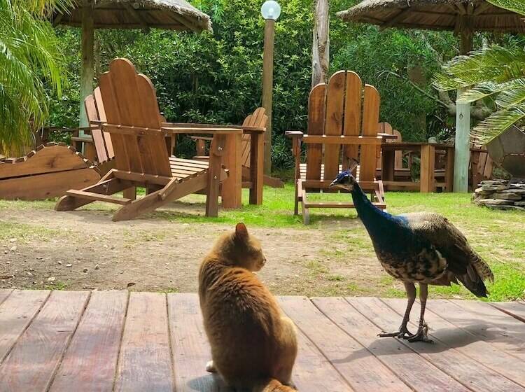 Отель Apartamentos Premium Con Yacuzzi Dunas Del Este