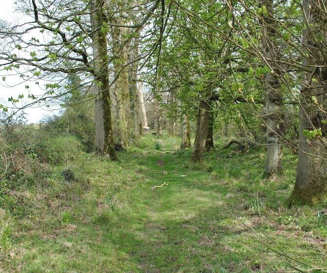 酒店 Killiane Castle Country House & Farm