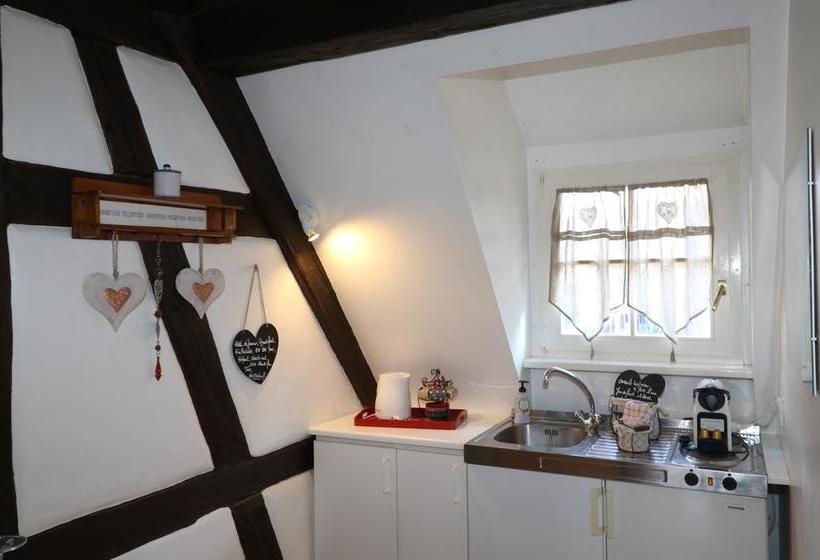 酒店 Le Bastion De Riquewihr