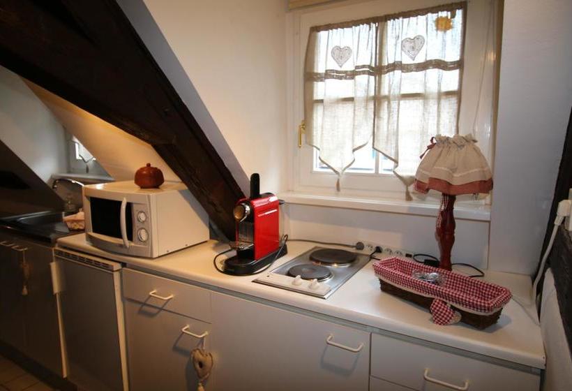 酒店 Le Bastion De Riquewihr