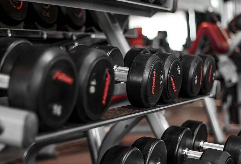 호텔 Millennium Plaza Doha