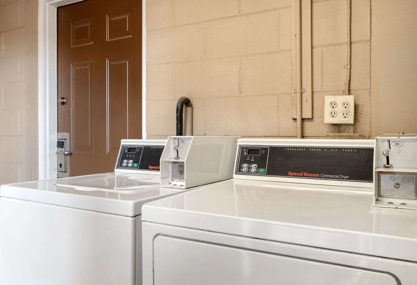 ホテル Rodeway Inn Terre Haute