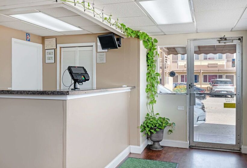 ホテル Rodeway Inn Terre Haute