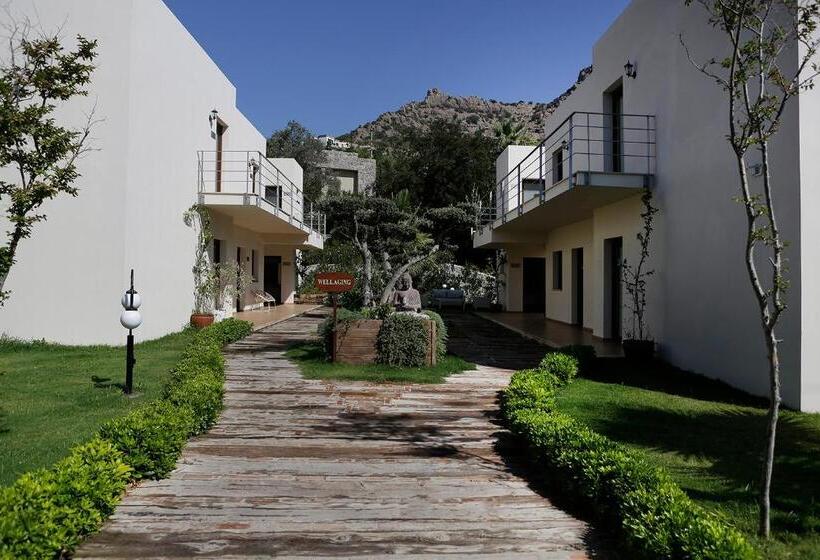 酒店 The Lifeco Bodrum Well Being Center Adults Only