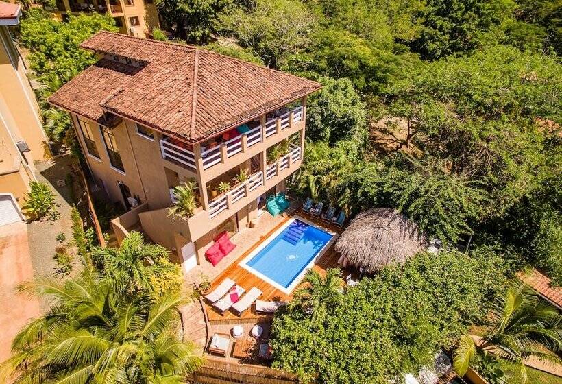 Отель Villa Nautilus