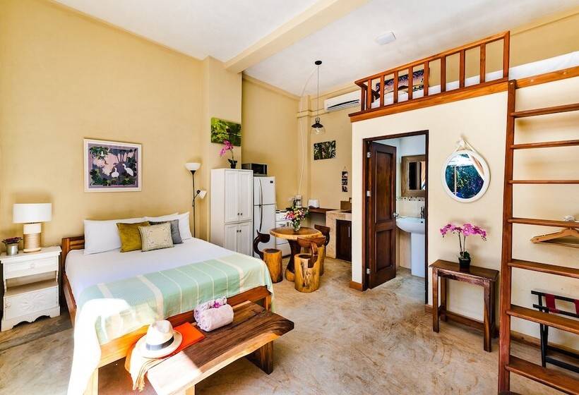 Отель Villa Nautilus