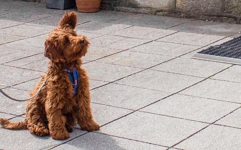 Курорт Cape Cornwall Club