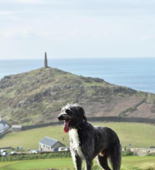 Курорт Cape Cornwall Club