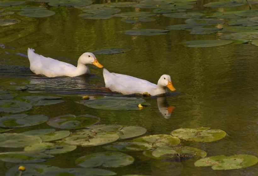 Thimbles Bed & Breakfast