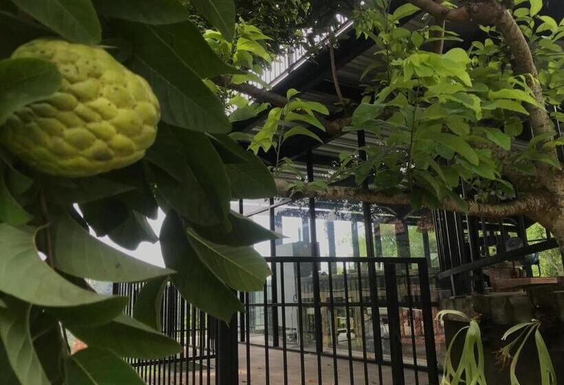 הוסטל Kraras Munduk Guest House & Donbiyu Rendezvous Restaurant