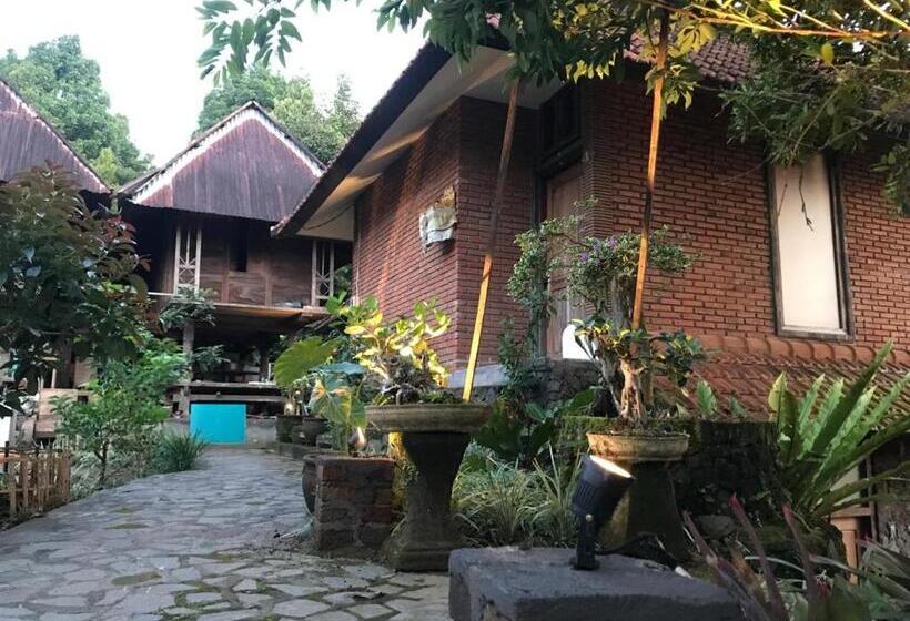 호스텔 Kraras Munduk Guest House & Donbiyu Rendezvous Restaurant