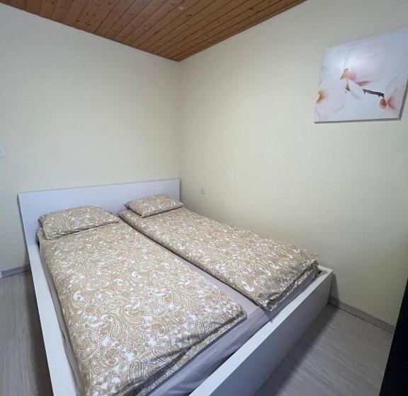 Общежитие Niederdorf, Baselland