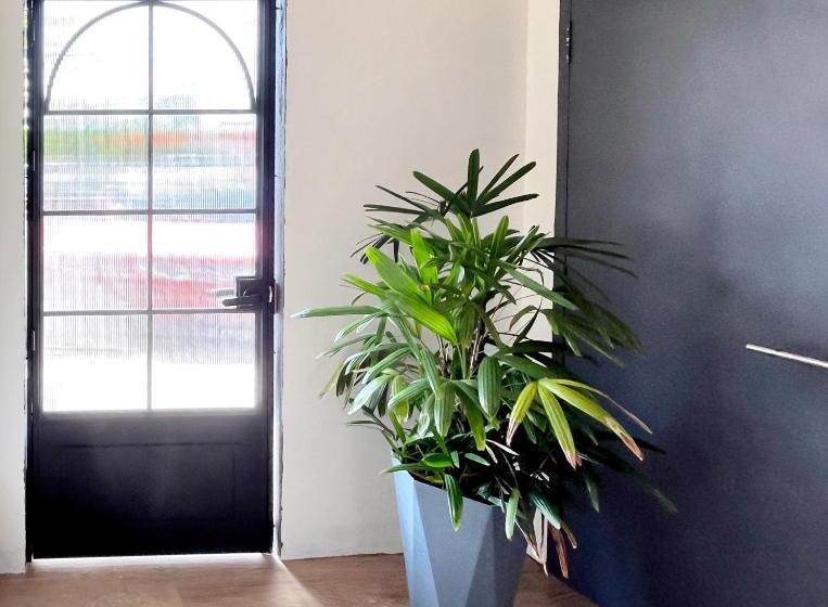 Общежитие Vilana