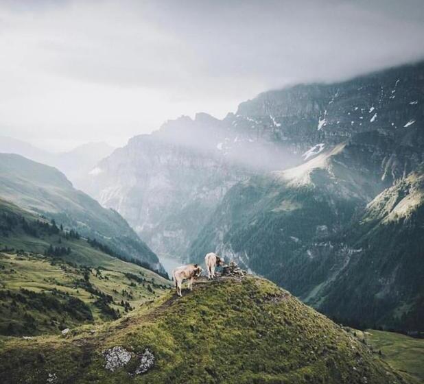 Alphotel & Bergrestaurant Sankt Martin