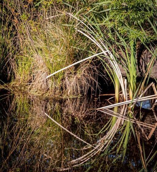 تختخواب و صبحانه About Thyme For Sleeps & Treats