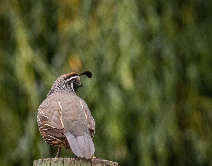 تختخواب و صبحانه About Thyme For Sleeps & Treats