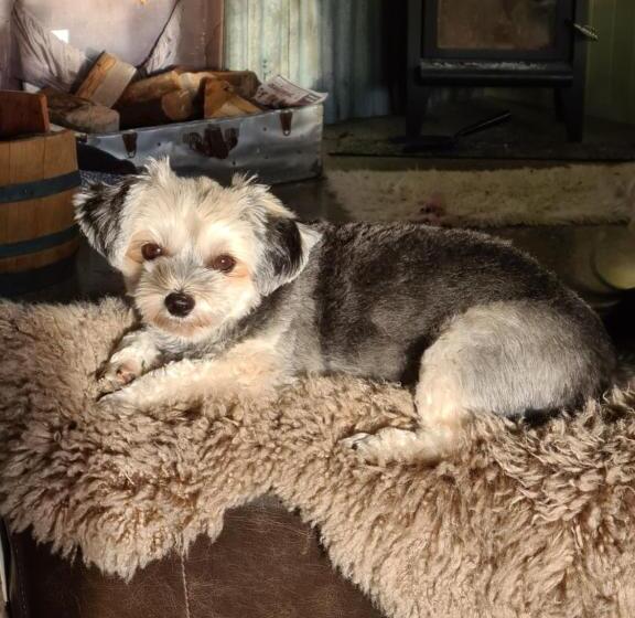 تختخواب و صبحانه About Thyme For Sleeps & Treats