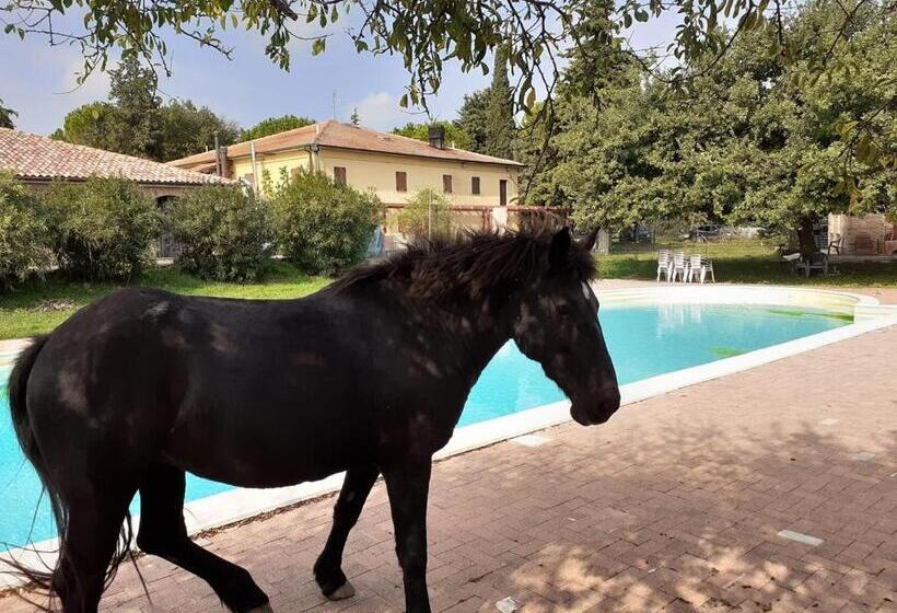 צימר Casale Del Gufo