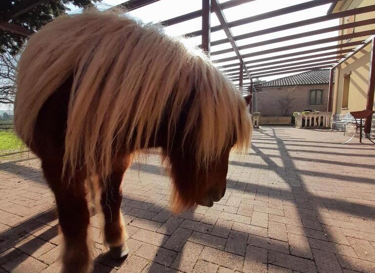 צימר Casale Del Gufo