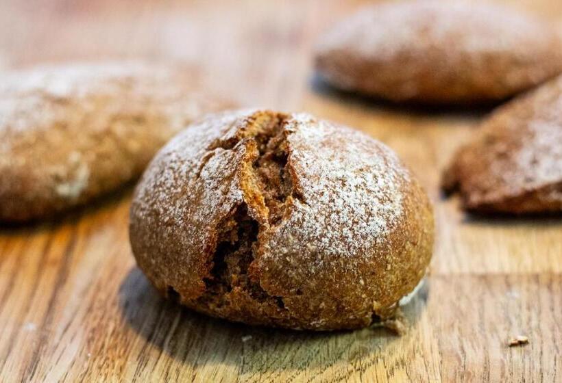 Bed and Breakfast Gopshusgården Rum & Stugor