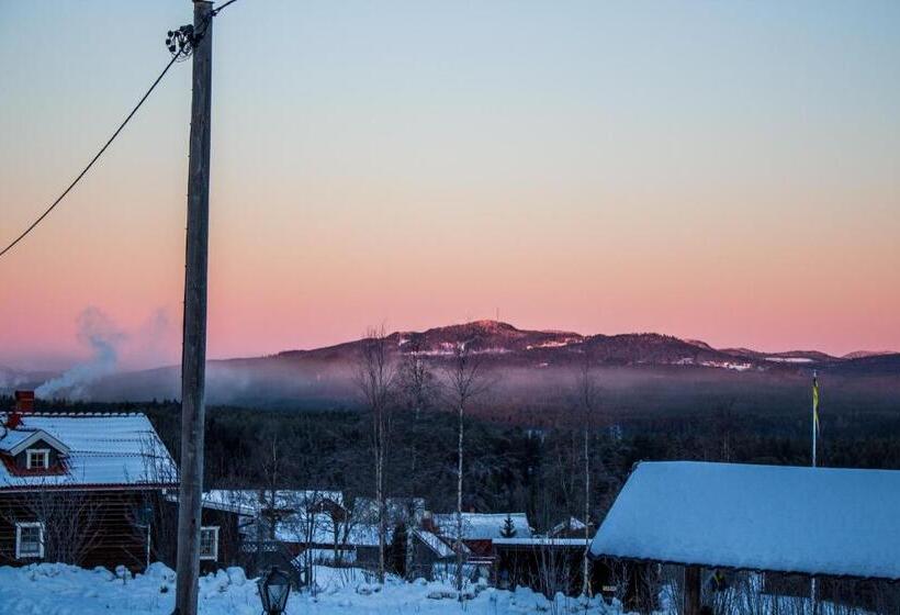 Bed and Breakfast Gopshusgården Rum & Stugor