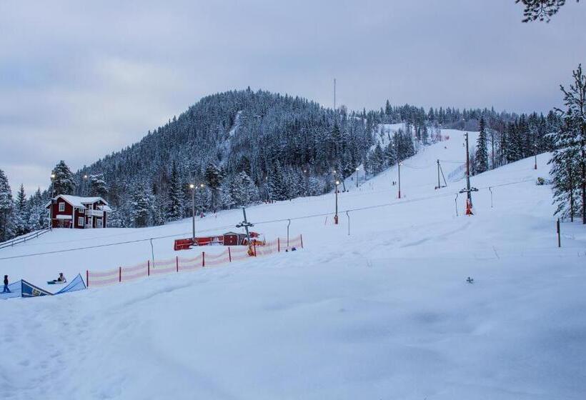 Bed and Breakfast Gopshusgården Rum & Stugor