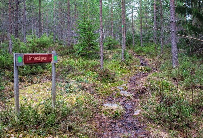 Bed and Breakfast Gopshusgården Rum & Stugor