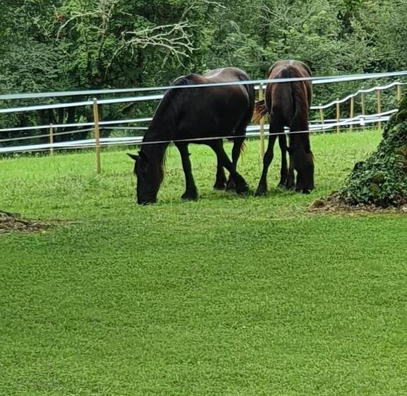 Bed and Breakfast La Grange