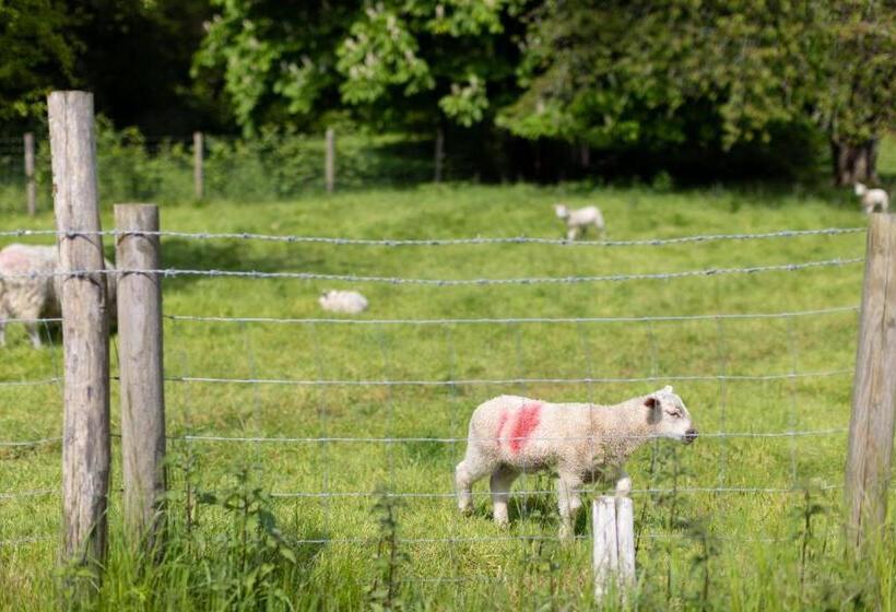 ベッドアンドブレックファースト Lady Hall  Guest House