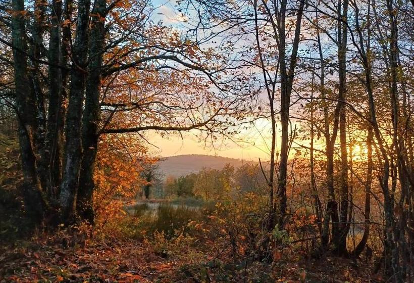 ベッドアンドブレックファースト Le Manivert