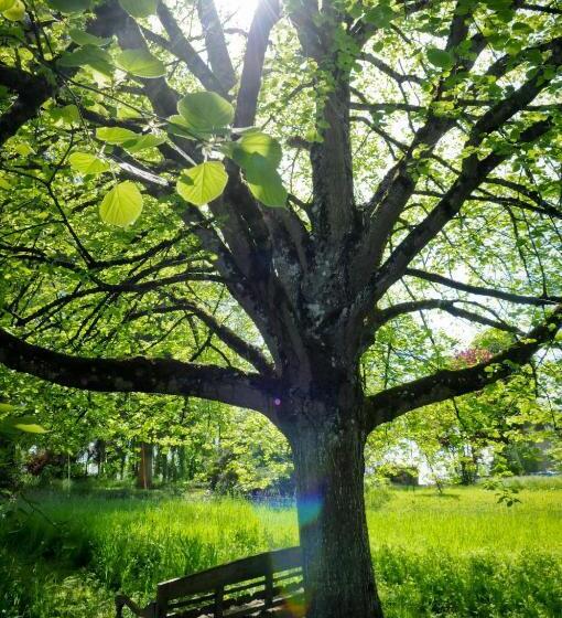 ベッドアンドブレックファースト Le Manivert