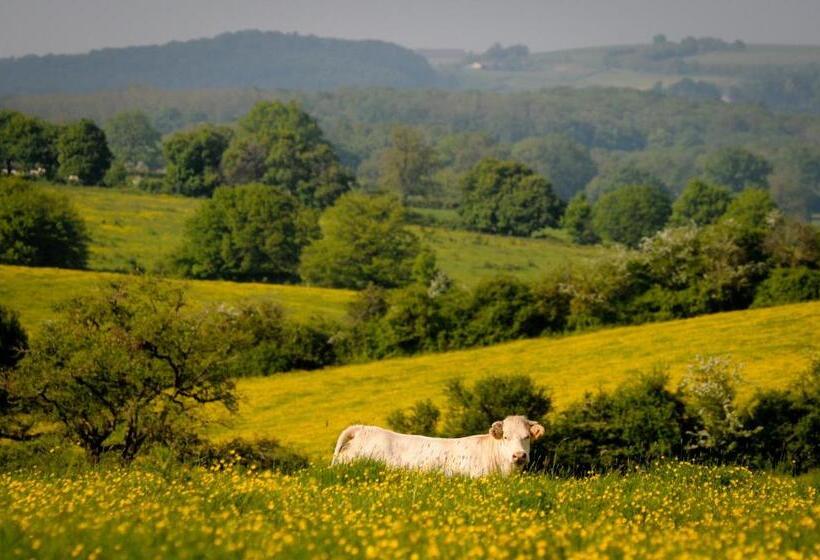 ベッドアンドブレックファースト Le Manivert