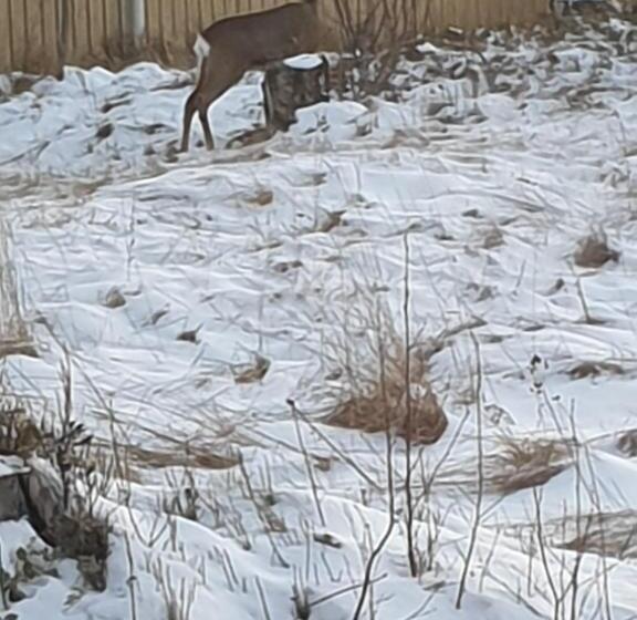 Bed & Breakfast De Jager