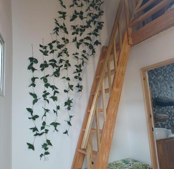 Doña Mayra Aparta Hotel, Rustico