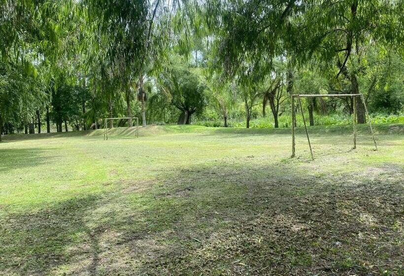 Отель Cabañas El Tercer Ojo Tigre