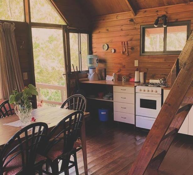 Отель Cabañas El Tercer Ojo Tigre