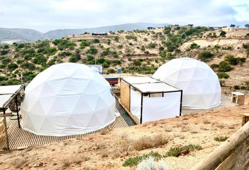 فنادق الكبسولة Boutique Casa Domo