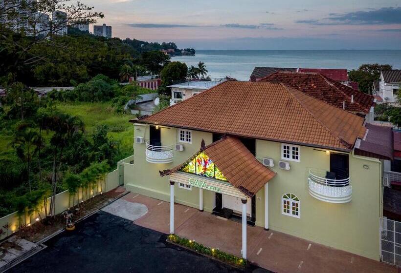 בית מלון כפרי Gaia