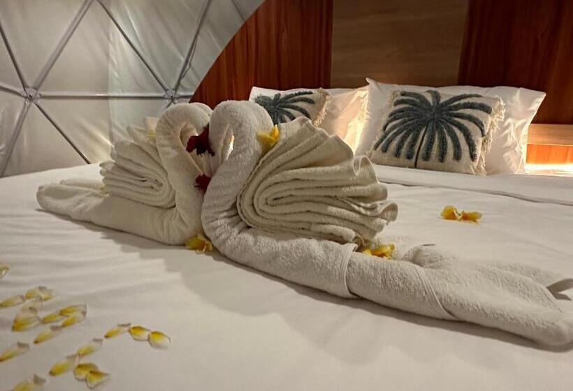 בית מלון כפרי Glamping @ Pebbles & Fins