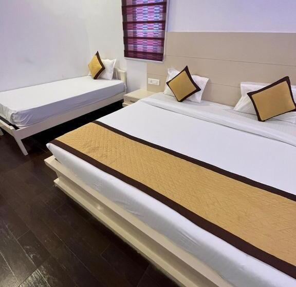 فندق Liva International