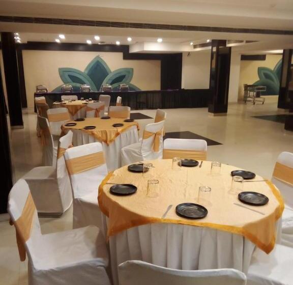 فندق Liva International